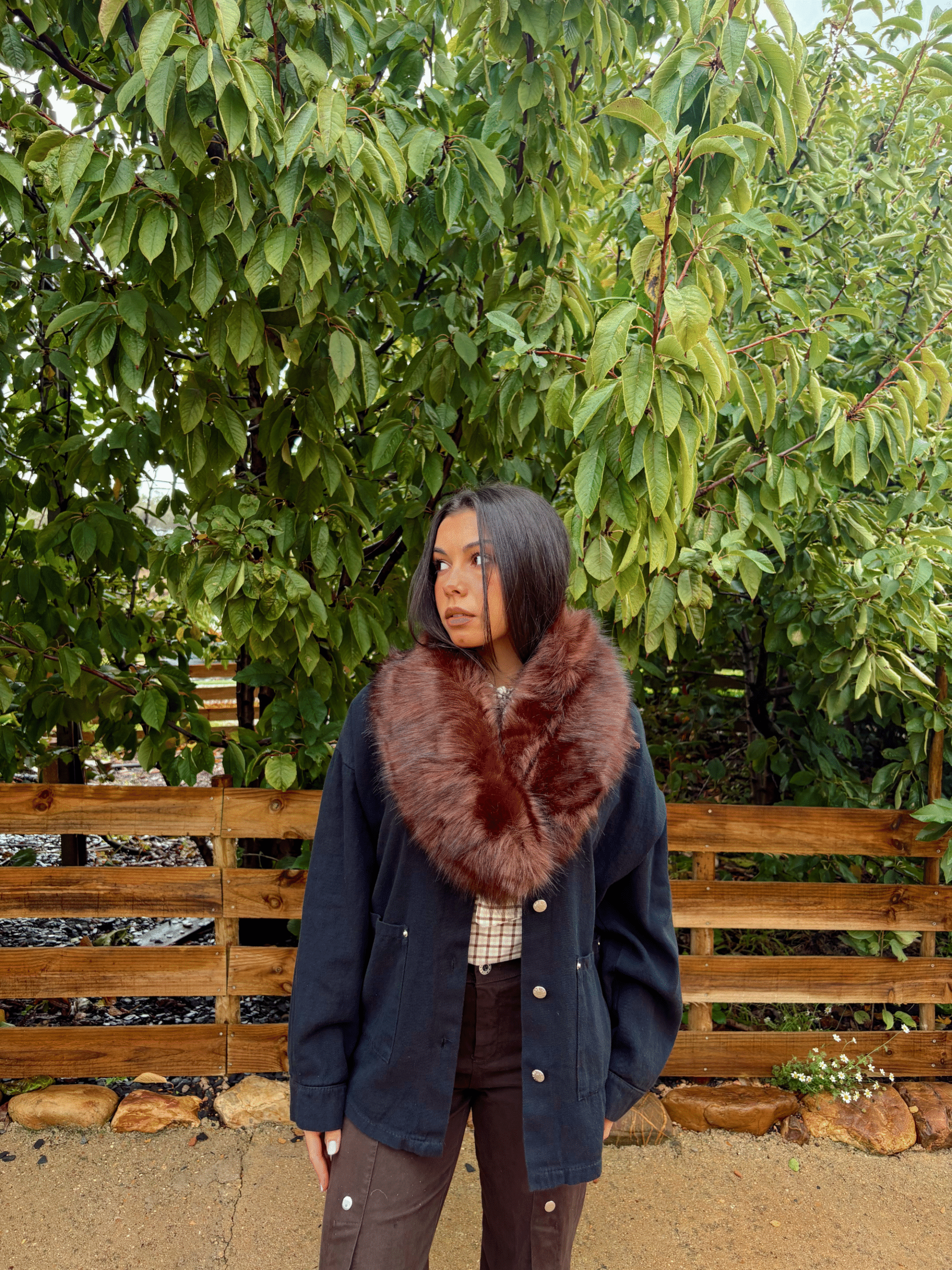barbour(2)